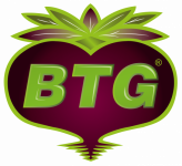 Logo BTG