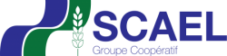 Logo Scael
